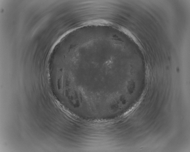 X0000080180923200612221312