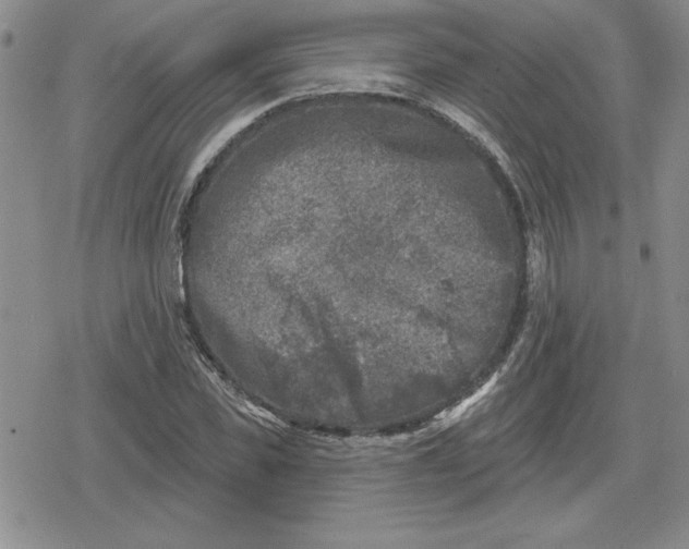 X0000080180925200612221312