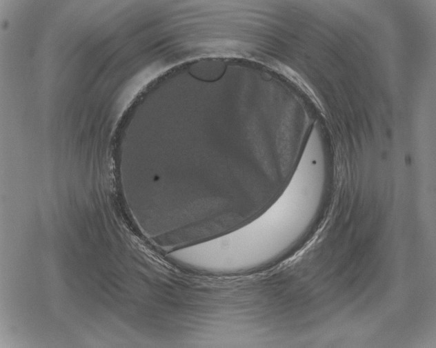 X0000080180926200612221312