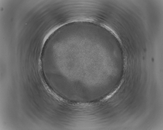 X0000080180928200612221312