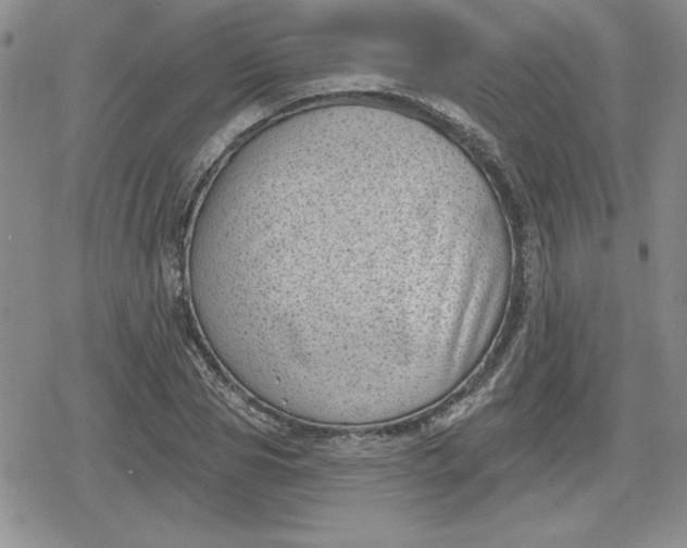 X0000080180929200612221312