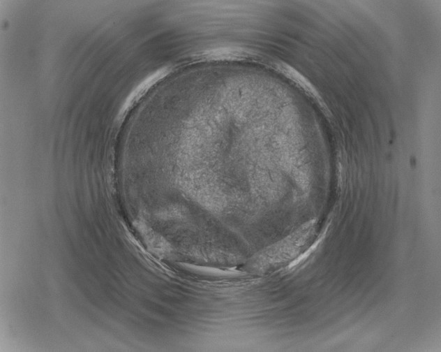 X0000080180930200612221312