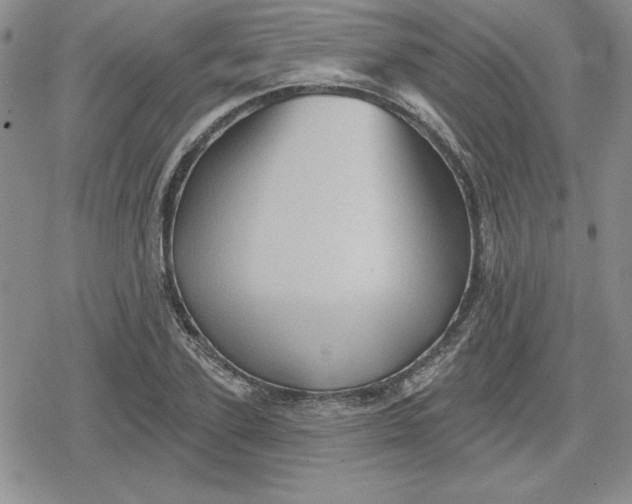 X0000080180931200612221312