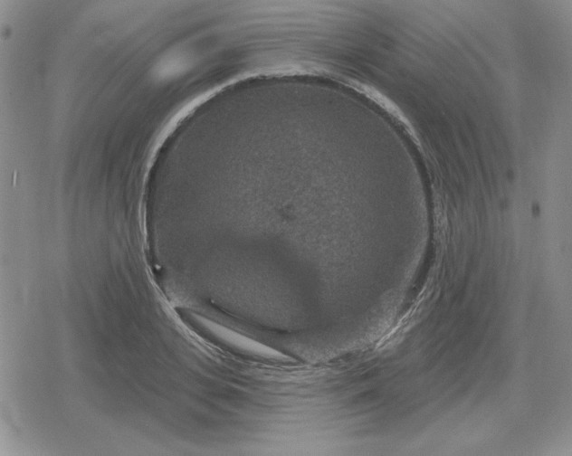 X0000080180935200612221312