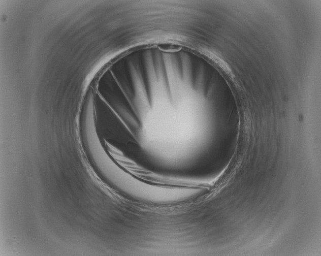 X0000080180936200612221312