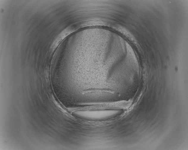 X0000080180937200612221312