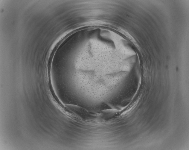 X0000080180939200612221312