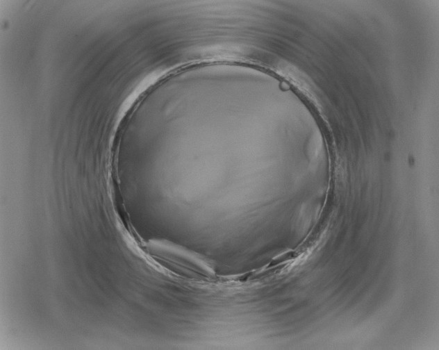 X0000080180941200612221312