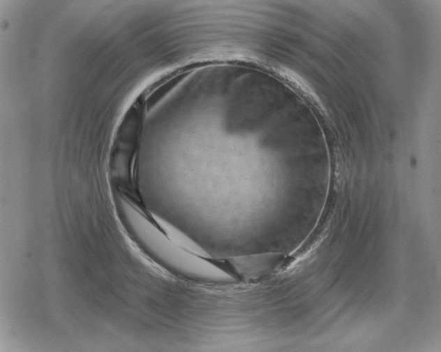 X0000080180942200612221312