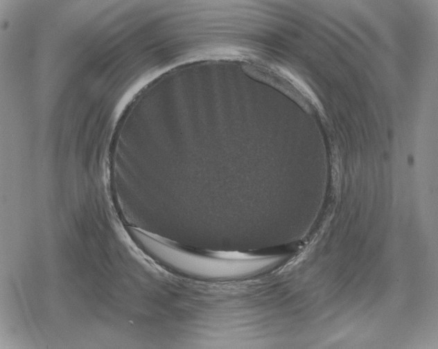 X0000080180944200612221312