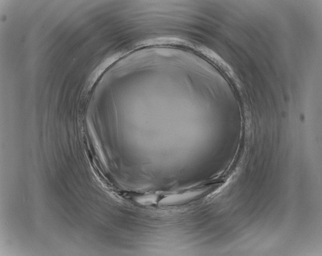 X0000080180945200612221312