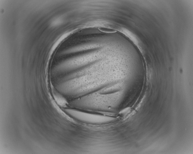 X0000080180949200612221312