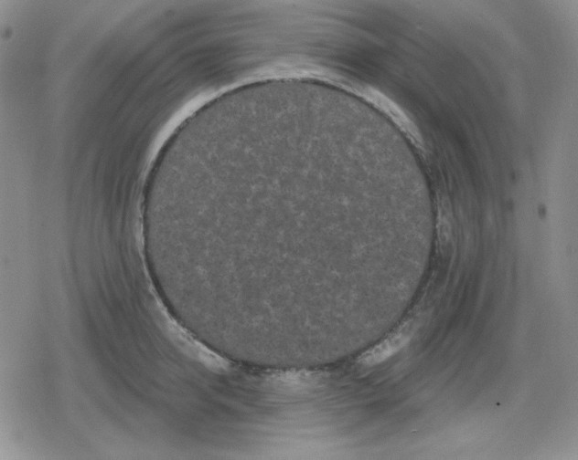 X0000080180950200612221312