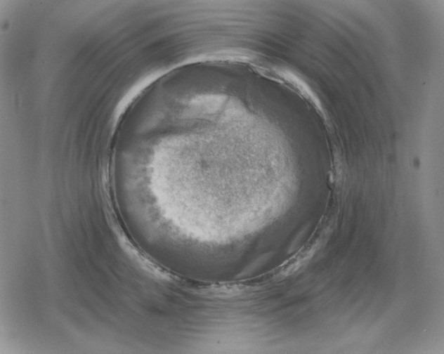 X0000080180952200612221312