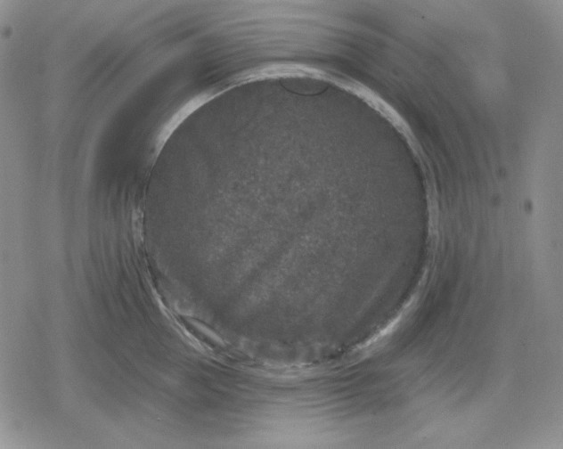 X0000080180953200612221312