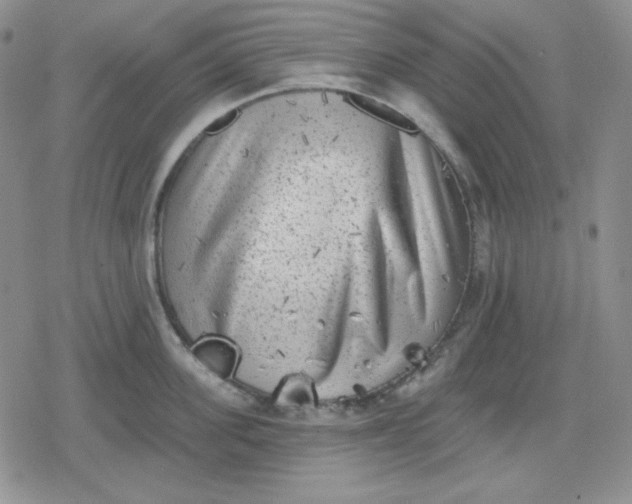 X0000080180955200612221312