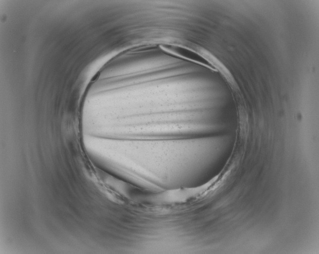 X0000080180956200612221312