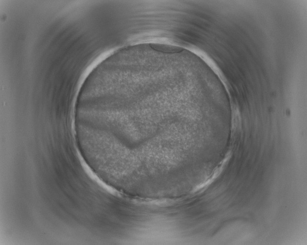 X0000080180957200612221312