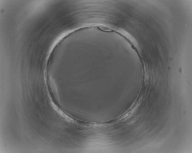 X0000080180958200612221312