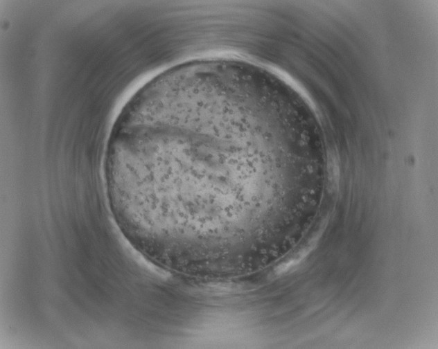 X0000080180959200612221312