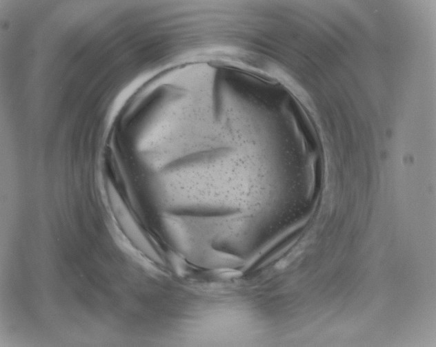 X0000080180960200612221312