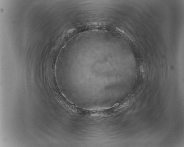 X0000080180961200612221312