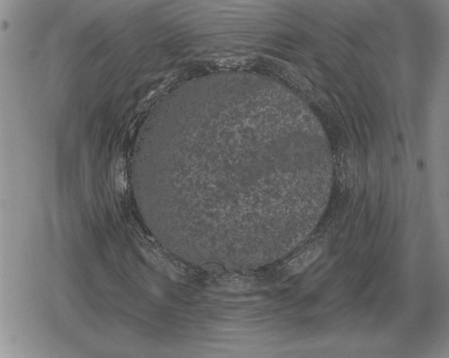 X0000080180962200612221312