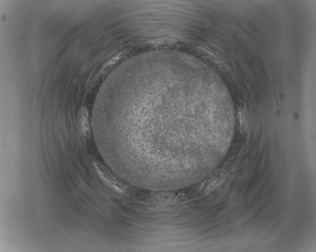 X0000080180963200612221312