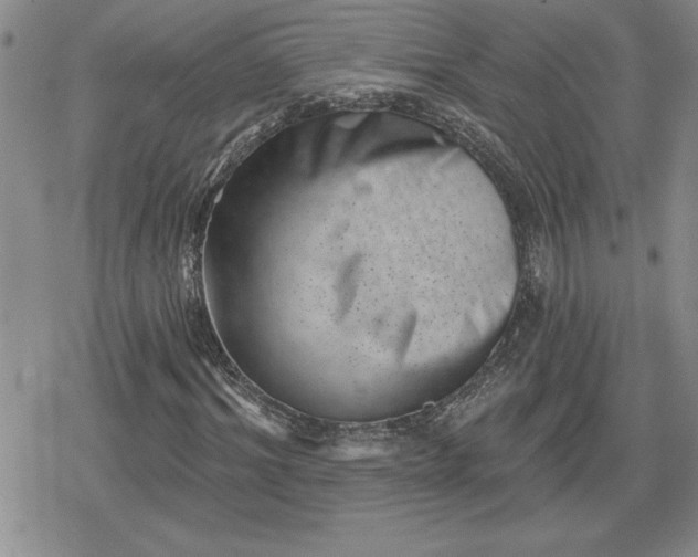 X0000080180964200612221312