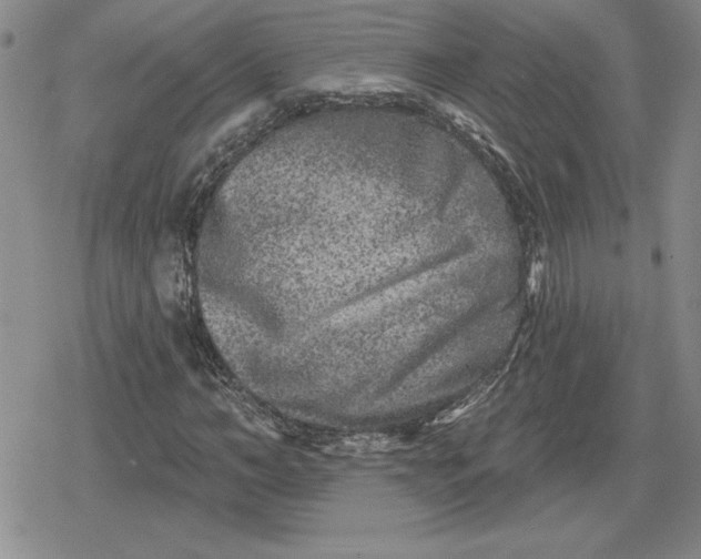 X0000080180966200612221312