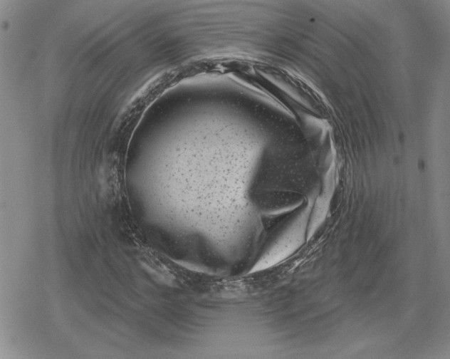 X0000080180968200612221312