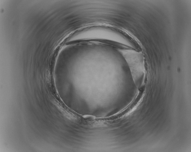 X0000080180969200612221311