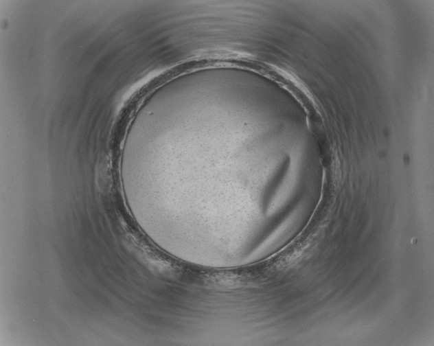 X0000080180971200612221311