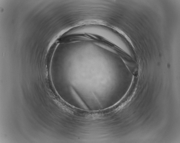 X0000080180973200612221311