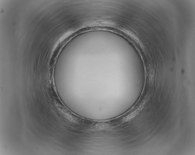 X0000080180974200612221311