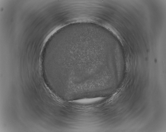 X0000080180975200612221311