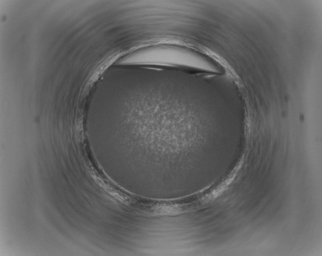 X0000080180977200612221311