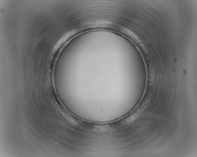 X0000080180978200612221311