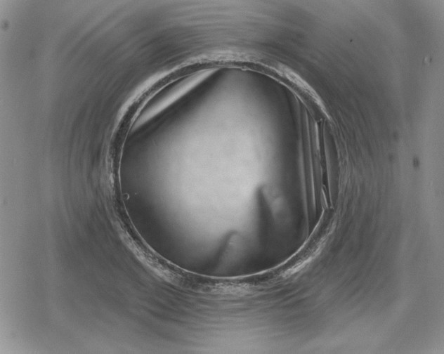 X0000080180981200612221311