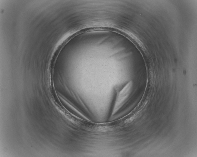 X0000080180982200612221311