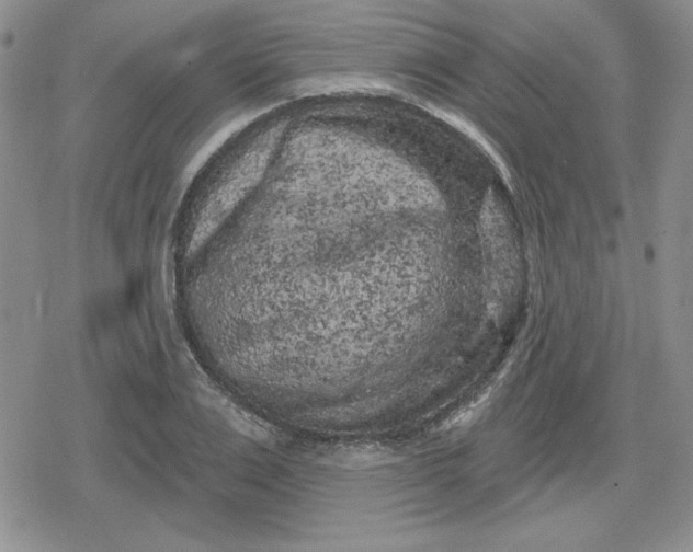 X0000080180983200612221311