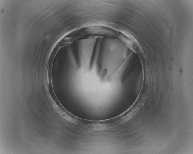 X0000080180984200612221311