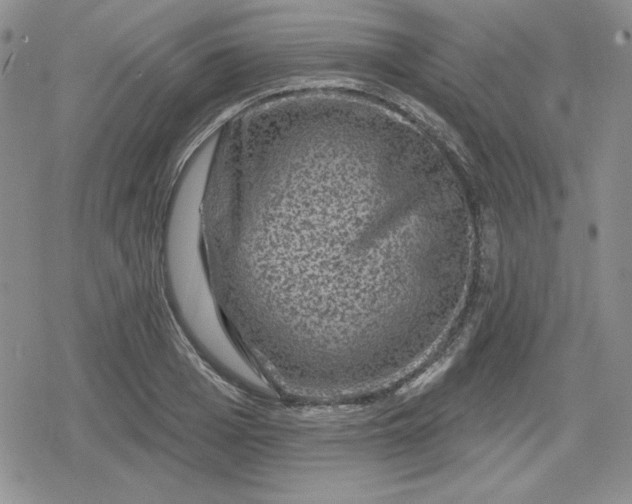 X0000080180985200612221311