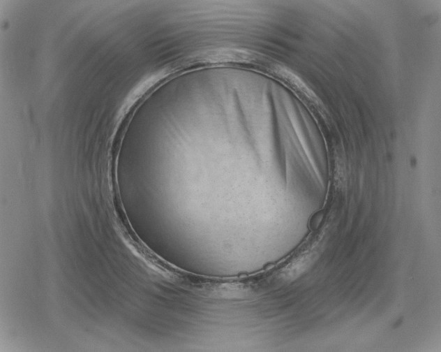 X0000080180986200612221311