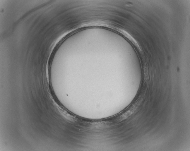 X0000080180988200612221311