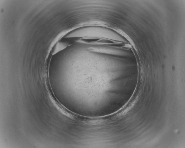 X0000080180989200612221311