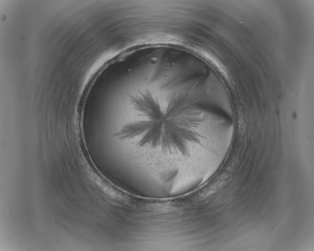 X0000080180990200612221311