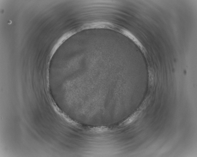 X0000080180994200612221311