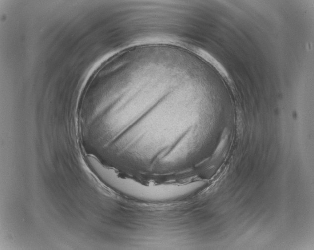 X0000080180996200612221311