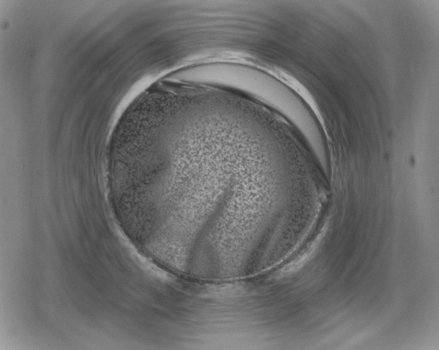 X0000080180997200612221311